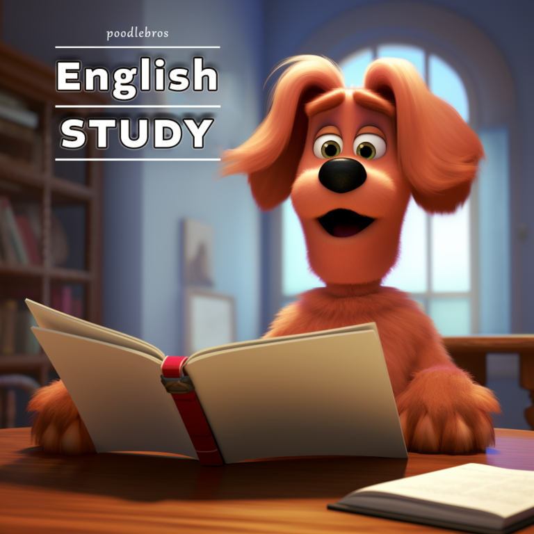 영어 study